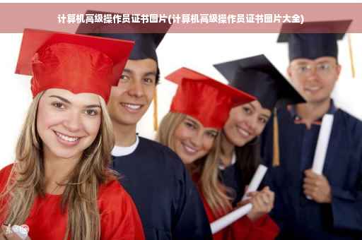 计算机高级操作员证书图片(计算机高级操作员证书图片大全)