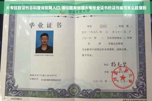 大专技能证书百科查询官网入口,哪位朋友知道大专毕业证书的证书编号怎么能查到