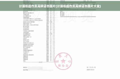 计算机操作员高级证书图片(计算机操作员高级证书图片大全)