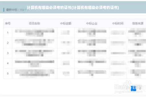 计算机有哪些必须考的证书(计算机有哪些必须考的证书)