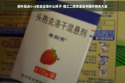 初中起点3+2毕业证是什么样子-保工二校毕业证书图片样本大全