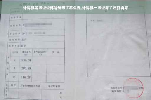 计算机等级证证件号码忘了怎么办,计算机一级证考了还能再考