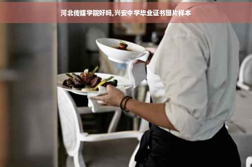 河北传媒学院好吗,兴安中学毕业证书图片样本
