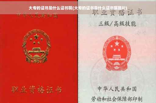 大专的证书是什么证书啊(大专的证书是什么证书啊图片)
