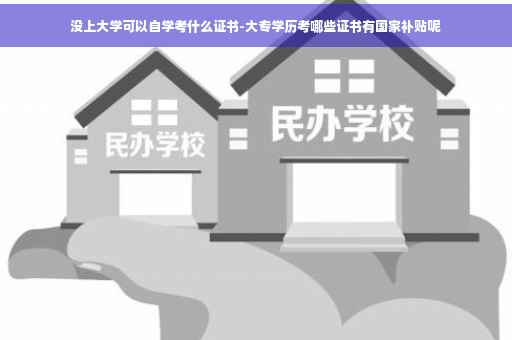 没上大学可以自学考什么证书-大专学历考哪些证书有国家补贴呢
