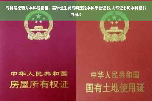 专科院校转为本科院校后，其毕业生发专科还是本科毕业证书,大专证书和本科证书的图片