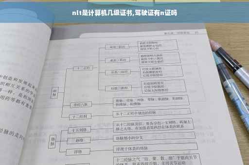 nlt是计算机几级证书,驾驶证有n证吗