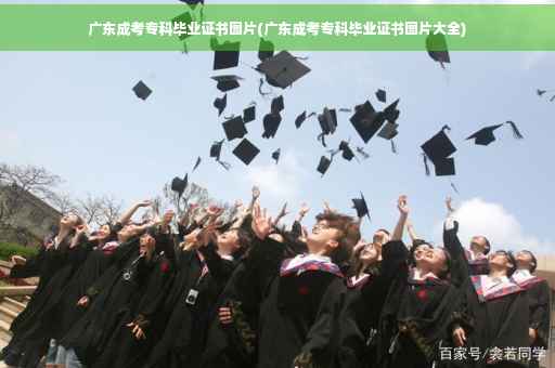 广东成考专科毕业证书图片(广东成考专科毕业证书图片大全)