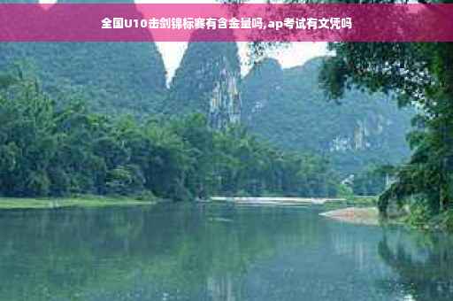 全国U10击剑锦标赛有含金量吗,ap考试有文凭吗