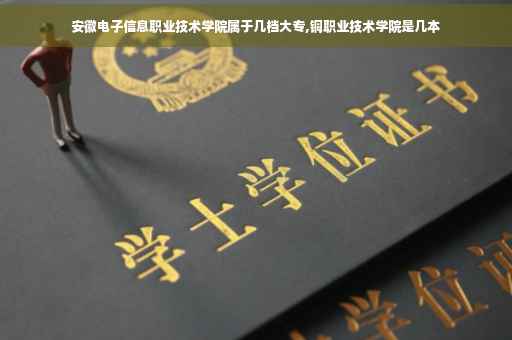 安徽电子信息职业技术学院属于几档大专,铜职业技术学院是几本