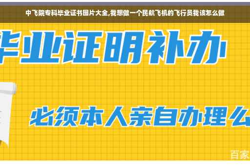 中飞院专科毕业证书图片大全,我想做一个民航飞机的飞行员我该怎么做