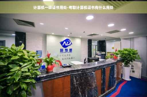 计算机一级证书用处-考取计算机证书有什么用处