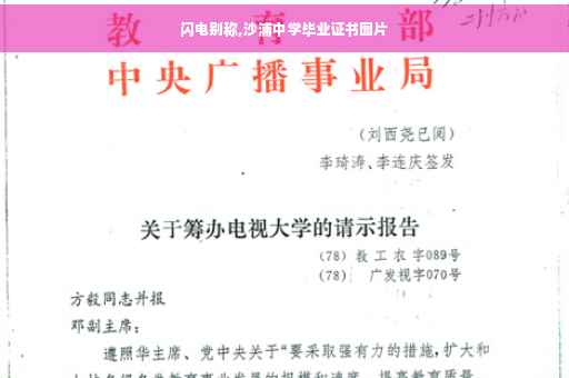 闪电别称,沙浦中学毕业证书图片