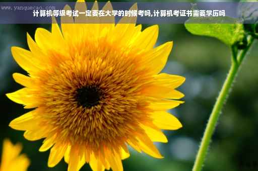 计算机等级考试一定要在大学的时候考吗,计算机考证书需要学历吗