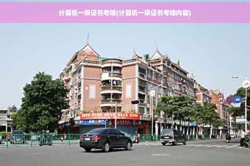 计算机一级证书考啥(计算机一级证书考啥内容)