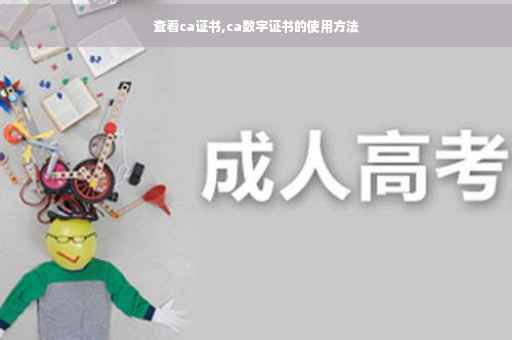 查看ca证书,ca数字证书的使用方法