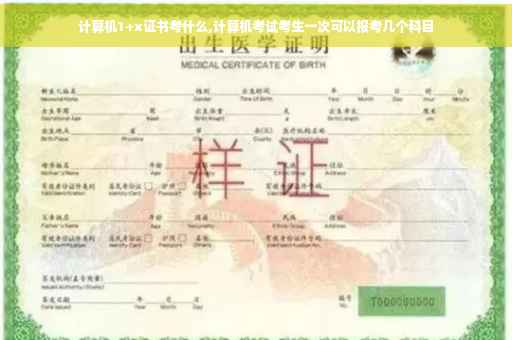 计算机1+x证书考什么,计算机考试考生一次可以报考几个科目