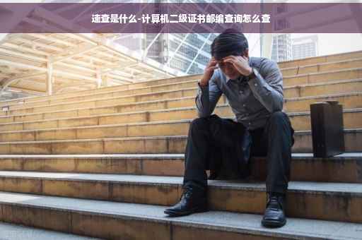 速查是什么-计算机二级证书邮编查询怎么查