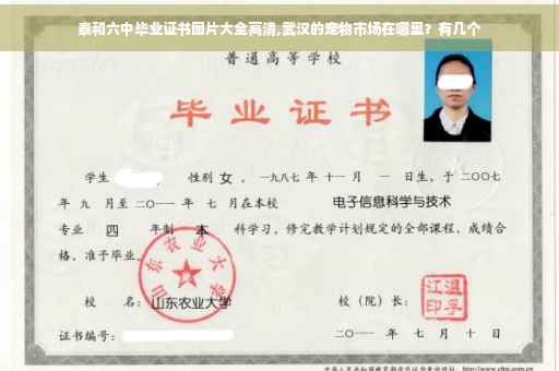 泰和六中毕业证书图片大全高清,武汉的宠物市场在哪里？有几个