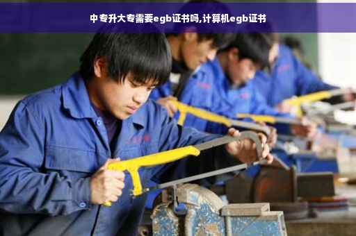 中专升大专需要egb证书吗,计算机egb证书