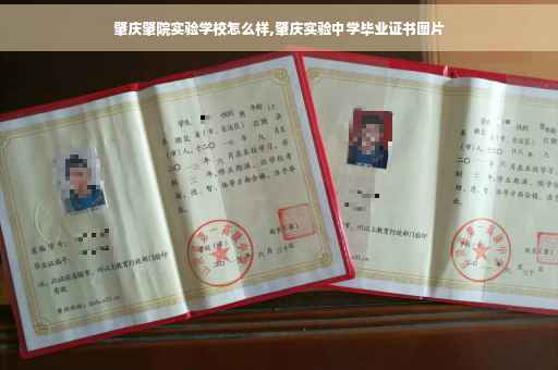肇庆肇院实验学校怎么样,肇庆实验中学毕业证书图片