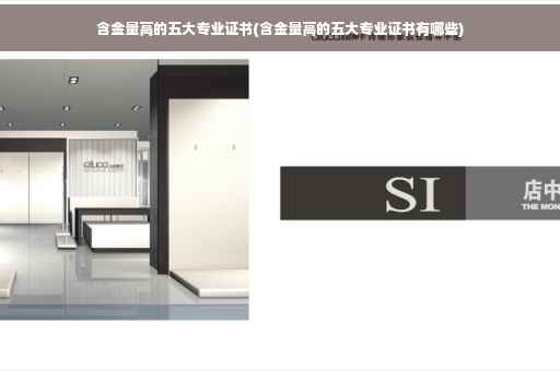 含金量高的五大专业证书(含金量高的五大专业证书有哪些)