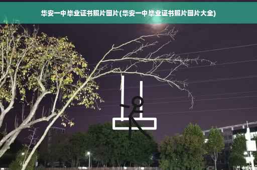华安一中毕业证书照片图片(华安一中毕业证书照片图片大全)