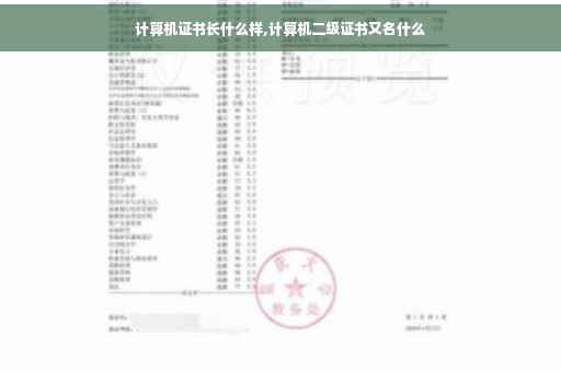 计算机证书长什么样,计算机二级证书又名什么
