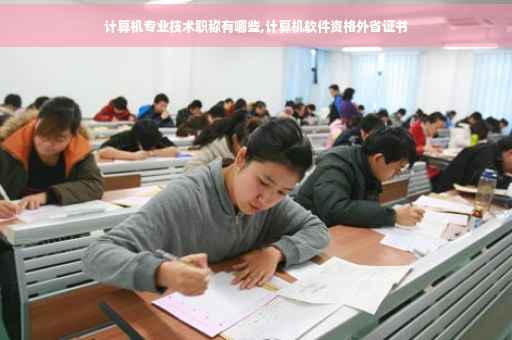计算机专业技术职称有哪些,计算机软件资格外省证书