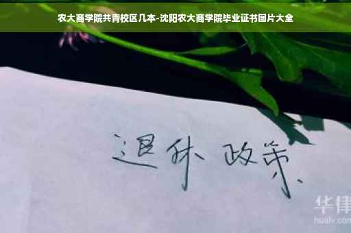 农大商学院共青校区几本-沈阳农大商学院毕业证书图片大全