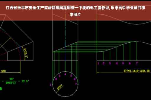 江西省乐平市安全生产监督管理局我想查一下我的电工操作证,乐平高中毕业证书样本图片