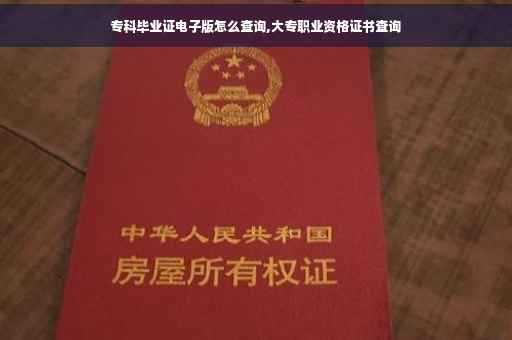 专科毕业证电子版怎么查询,大专职业资格证书查询
