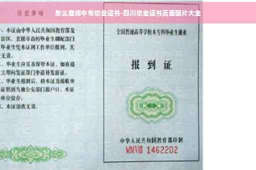 怎么查询中专毕业证书-四川毕业证书页面图片大全