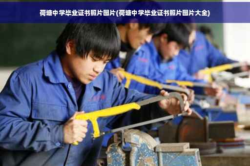 荷塘中学毕业证书照片图片(荷塘中学毕业证书照片图片大全)