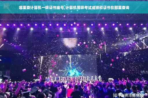 哪里查计算机一级证书编号,计算机等级考试成绩和证书在那里查询