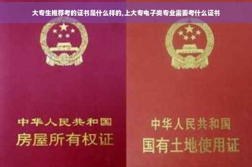 大专生推荐考的证书是什么样的,上大专电子类专业需要考什么证书