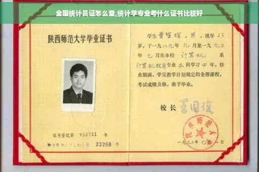 全国统计员证怎么查,统计学专业考什么证书比较好