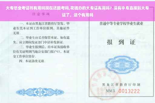 大专毕业考证书有用吗现在还能考吗,花钱办的大专证有用吗？没有中专直接到大专证了，这个有用吗
