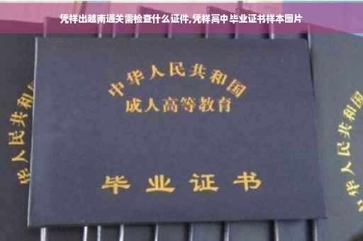 凭祥出越南通关需检查什么证件,凭祥高中毕业证书样本图片