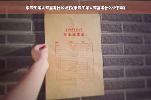 中专生考大专需考什么证书(中专生考大专需考什么证书呢)