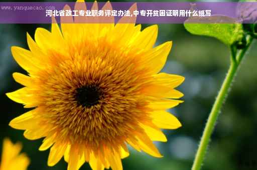 河北省政工专业职务评定办法,中专开贫困证明用什么纸写