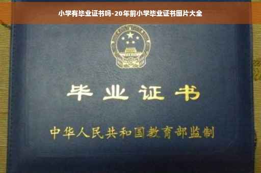 小学有毕业证书吗-20年前小学毕业证书图片大全