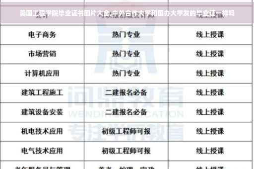 美国工程学院毕业证书图片大全,中外合作大学和国办大学发的毕业证一样吗