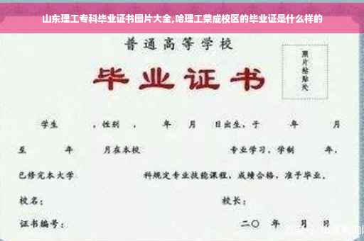 山东理工专科毕业证书图片大全,哈理工荣成校区的毕业证是什么样的