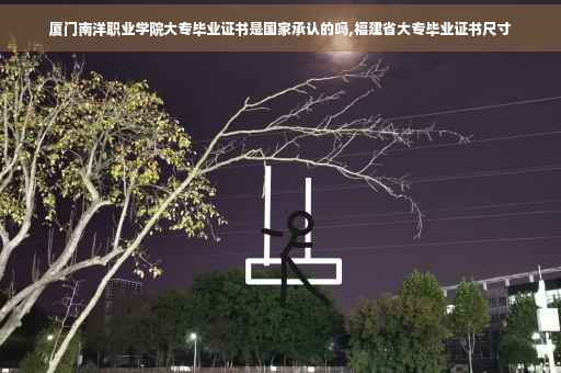 厦门南洋职业学院大专毕业证书是国家承认的吗,福建省大专毕业证书尺寸