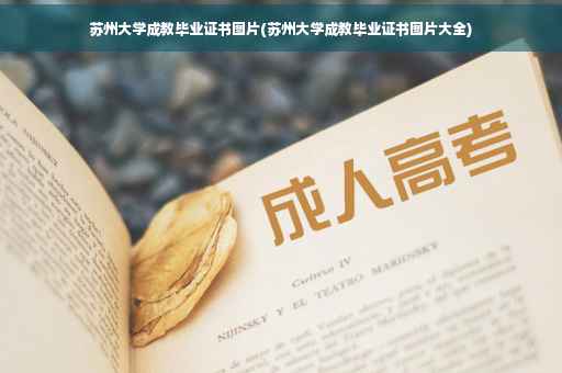 苏州大学成教毕业证书图片(苏州大学成教毕业证书图片大全)