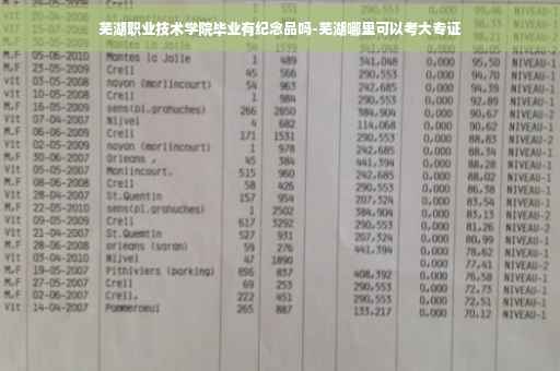芜湖职业技术学院毕业有纪念品吗-芜湖哪里可以考大专证