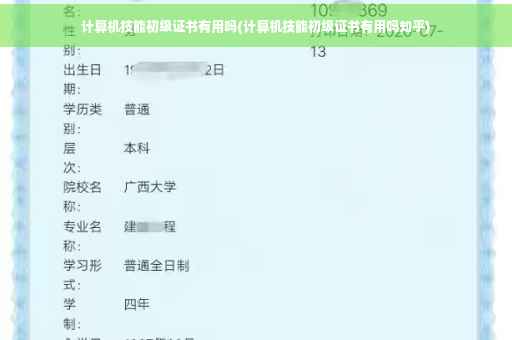 计算机技能初级证书有用吗(计算机技能初级证书有用吗知乎)