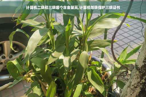 计算机二级和三级哪个含金量高,计算机等级保护三级证书