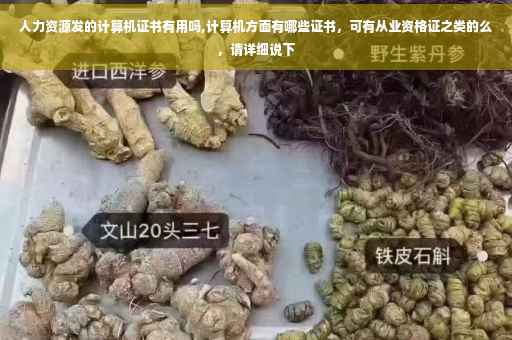 人力资源发的计算机证书有用吗,计算机方面有哪些证书，可有从业资格证之类的么，请详细说下